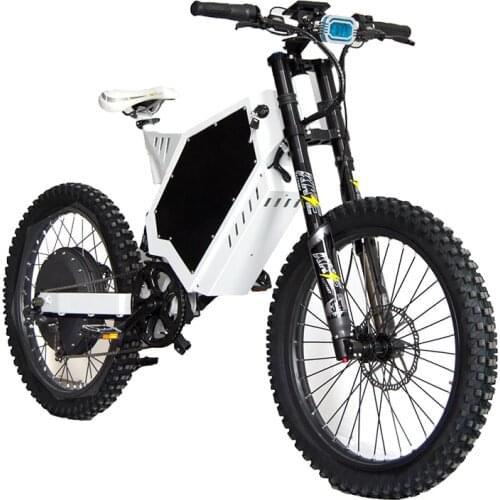 Brand new electric surrey bike velo electrique cargo electric bike for sale