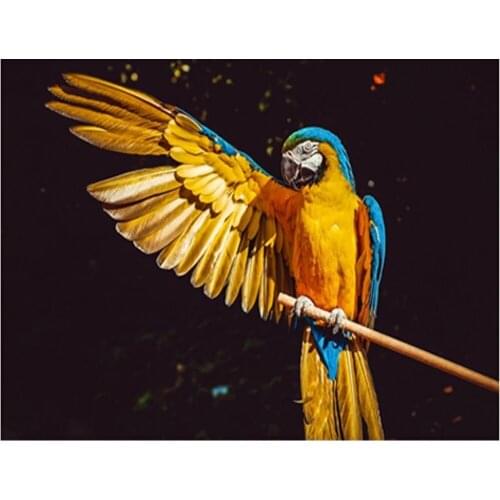 ARMYQZDiy round diamond square diamond diamond painting DIY 5D embroidery parrot cross stitch animal painting family decoration
