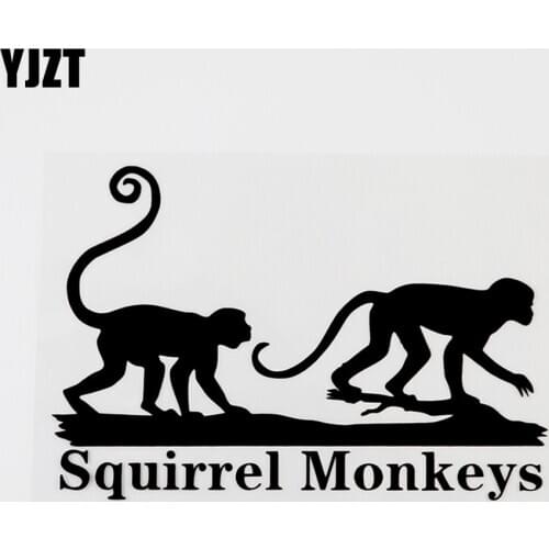 YJZT 15CMX10CM Funny Animal Squirrel Monkeys Vinyl Decal Car Sticker Black/Silver 8C-0183