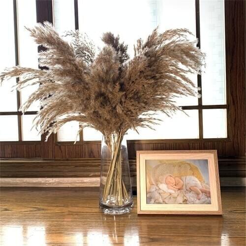 Plume 30-40cm wedding pampas grass bouquet christmas decoration flower bunch pampas grass natural dried reed plants