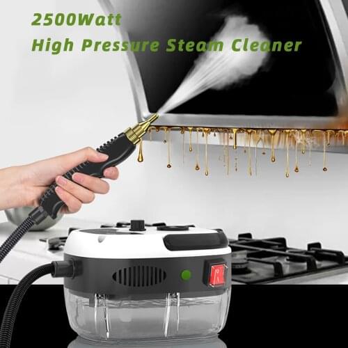 2021 New Arrival 2500W 3Bar Pressure Adjustable Powerful Steam Cleaner 110V 220V Household Cleaning Machine for Air Conditioner