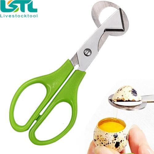 5 PCS Stainless Steel Pigeon Quail Egg Scissor Bird Egg Cutter Egg Opener Creative Tool Clipper Free Shippingl36