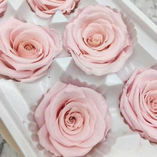 Preserved Flower Immortal Rose Flower 5-6cm DIY Eternal Life Flower Valentine Wedding Material Level B 6pcs / Box