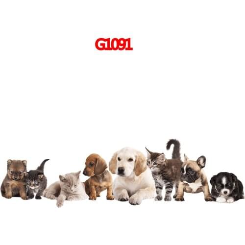 Drop Shipping Cat Auto Stickers On The Car Car Both Body Stickers Decal Car WrapPVC Film Automobiles Products Car Accessories