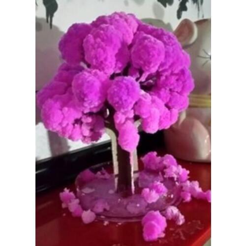 2019 100PCS 14x11cm Pink Big Magic Grow Paper Japanese Sakura Tree Magically Growing Trees Kit Desktop Cherry Blossom Kids Toys