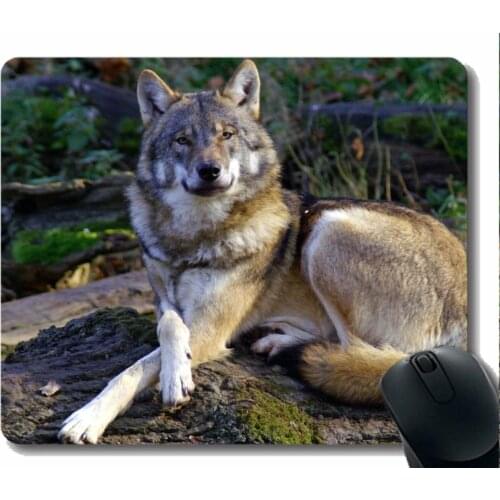 Mouse Pad Non-Skid Natural Rubber Rectangle Mouse Pads,Animal wolf women Mousepad Nonslip Rubber Backing