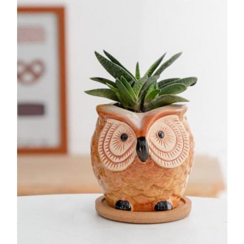 2pcs Succulent Pot Fleshy Planter Breathable Thumb Vase Cartoon Animal Pot New Owl Flowerpot Home Garden Balcony Decor