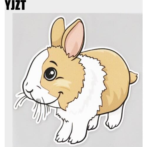 YJZT 13.2CM×13.6CM Cute Dwarf Rabbit Poultry PVC Decal Car Sticker 11C-0199