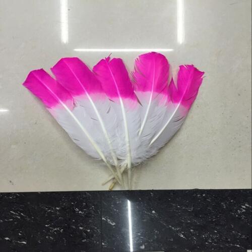 Wholesale 50 pcs beautiful double dyed fuschia & white Turkey feathers 25-30cm feather clothing decoration