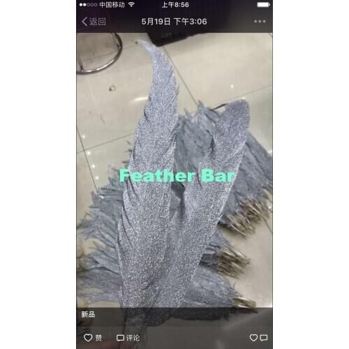 Factory 100pcs/lot Size 40-70cm Good Quality Paint Silver pheasant silver feather one side Paint pheasant tails