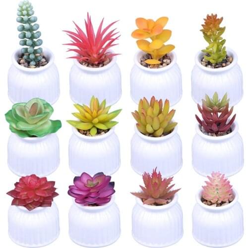 Artifical Succulent Plant With Ceramic Pot Household Decoration Green Plant Bonsai Ornament