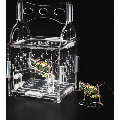Acrylic Spider Insect Box Mini Reptile Terrarium Tank Transparent Bug Catcher Cage Kids Nature Exploration Tools