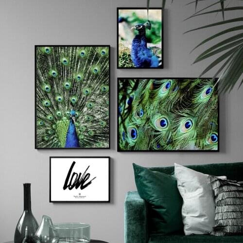 Peacock Bird Feather Love Quote Animal Wall Art Canvas Painting Nordic Posters And Prints Wall Pictures For Living Room Decor
