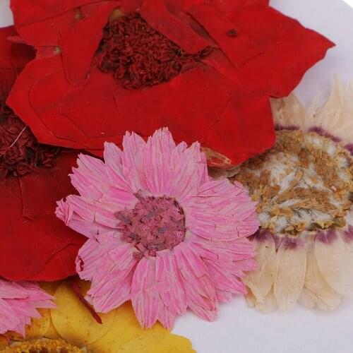 1 Set Multiple Mixed Pressed Flowers Rose Daisy Larkspur Myosotis Real Dried Flowers for Resin Casting Jewelry Making Crafts