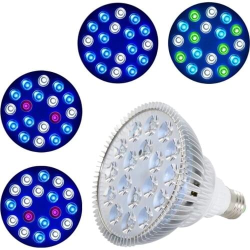 Ультрафиолетовые лампы RAYWAY China At AliExpress