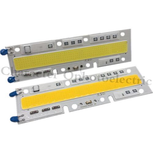 10Pcs Led COB Lamps AC 220V 110V Light 100W With Smart IC White / Warm White For Outdoor DIY FloodLight