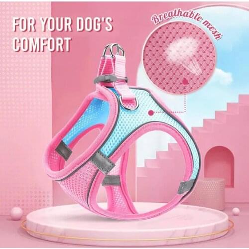 One Piece Vest Leash Dog Cat Breathable Reflective Cat Light Weight Night Walking Velcro Quick Release Leash