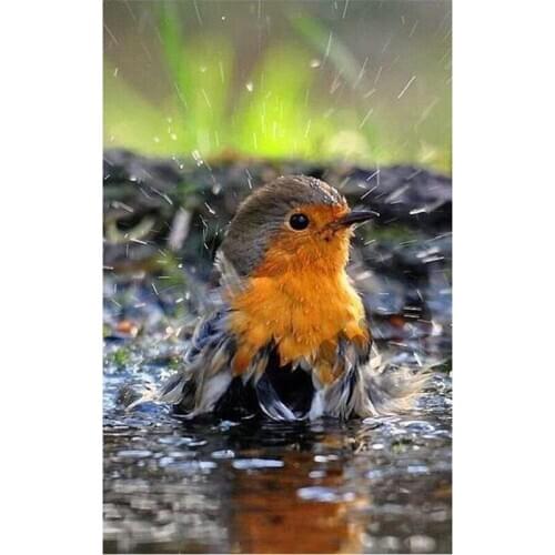 DIY Diamond Painting Animal bird picture Full Cross stitch kits Icons Diamond Embroidery sparrow Mosaic pattern Needlework