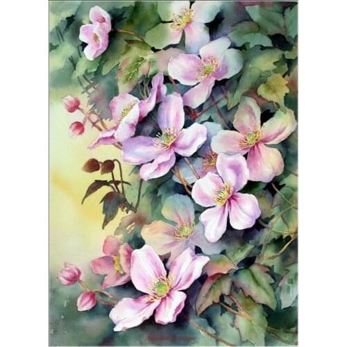 Counted Cross Stitch Kits Needlework - Crafts 14 ct Aida DMC Color DIY Arts Handmade Home Decor - Watercolor Flower 1