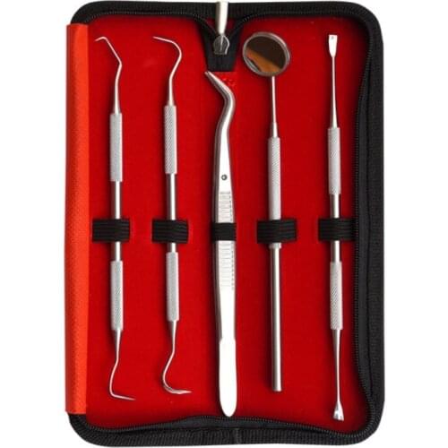5Pcs/Set Teeth Cleaning Kit Stainless Steel Tweezer Mouth Mirror Hoe Scaler Triangle Probe Dentist Prepared Tool Dental Hygiene