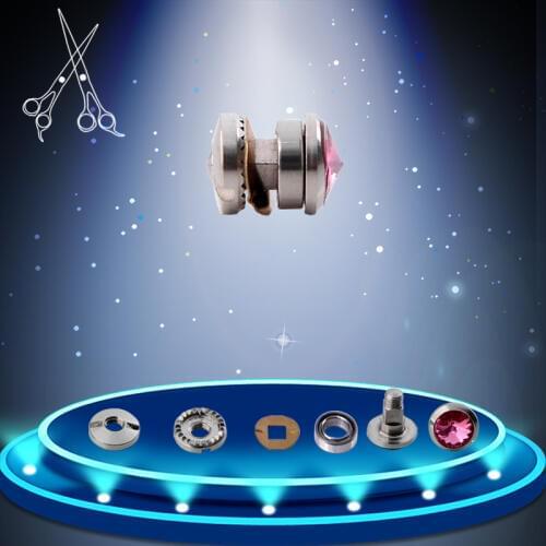 2 sets/lot Full Set Of Hairdresser Salon Scissor Styling Accessory Screw Tornillo Rodamiento Hair Barber Parts Screws