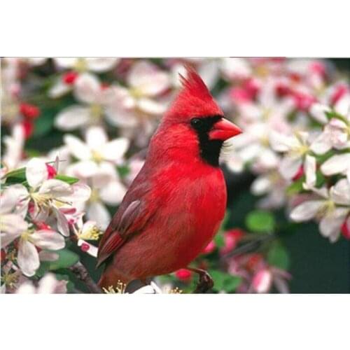 Diamond Mosaic 5D Diy Diamond Embroidery Cross Stitch Kits Diamond Painting Red Bird And Flowers Full Round Drill Rhinestone