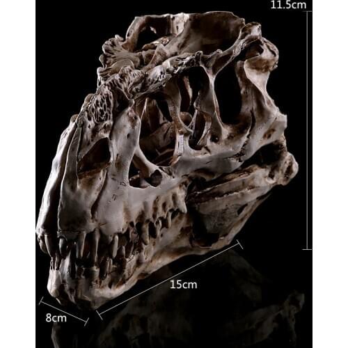 Tyrannosaurus rex skull model Halloween skeleton resin model Interior decoration personalized decoration
