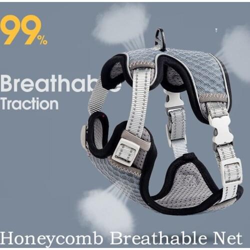 Mesh Harness For Pet Cat Dogs Adjustable Reflective Dog Cat Vest Harness and Leash Set Breathable Cat Harnesses Walking Lead