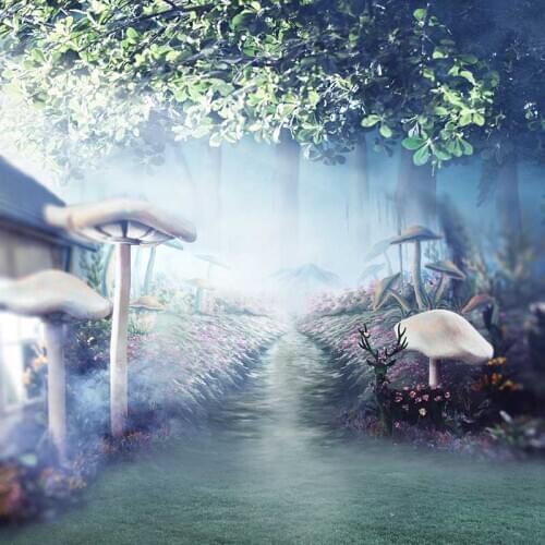 Vinyl Photography Background Computed Printed Magic Mushroom Children Backdrops for Photo Studio CM-6946