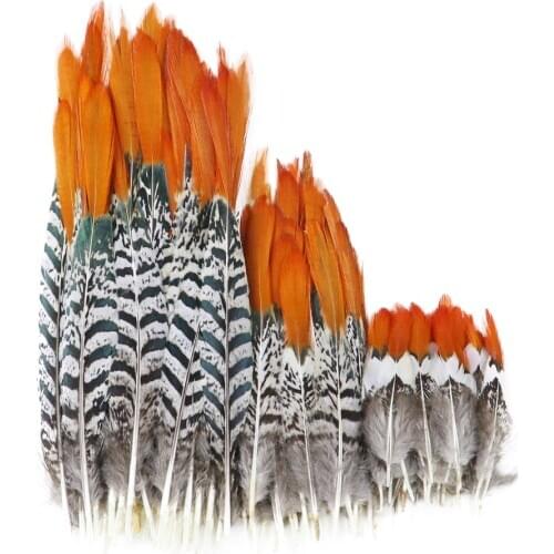 Natural Feather for crafts Pheasant Feather 5-30CM/2-12inch Wedding Jewelry Decoration Plumes for crafts Accessories