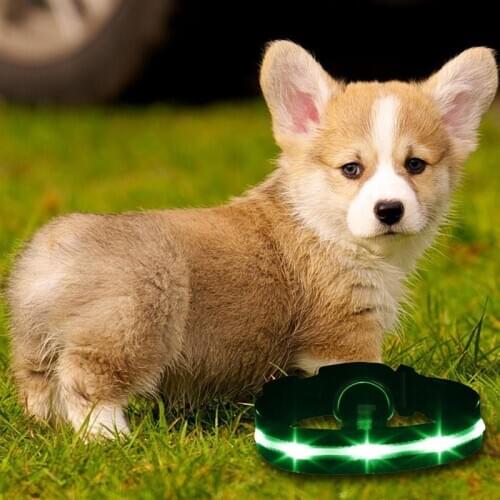 Fashion Nylon LED Pet Dog Collar Night Safety Flashing Glow In The Dark Dog Leash,Dogs Luminous Fluorescent Collars Pet Supplies