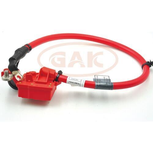 Battery cable For BMW X3 F25 18i 20dX 20i 28i 28iX 30dX 35dX 35iX 61129225099
