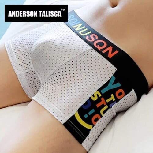 ANDERSON TALISCA Underwear Men Boxer Mesh Breathable Para Hombre Man Penis Mens Boxers Cuecas Masculina Boxershorts Homme M-3XL