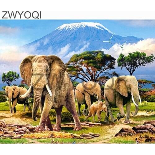 ZWYOQI Mountain Bikes