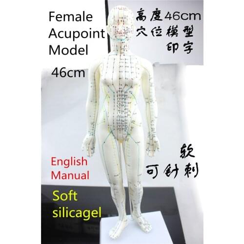 HD Soft silicagel Acupuncture Model 46cm female with Base Human acupuncture meridians model Acupoint Model Acupuncture massage