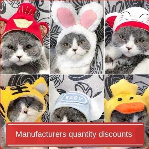 Cat headdress dog English short Hat Hair headgear Kitty Princess Teddy pet cute accessories