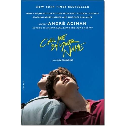 Call Me By Your Name Movie Luca Guadagnino Armie Hammer Poster Art Prints Silk Canvas For Wall Pictures Room Decoration-007
