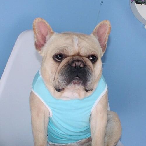 Tiger Dog New Summer Dog Clothes Soft T-shirt Thin Vest Round Neck For Small Medium Corgi Teddy Dog Puppy Pet Clothing 3 Colors