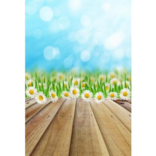 MEHOFOTO Photography Background 5X7ft Vinyl Photography Background Computer Painted Children Photography Backdrops F-3210