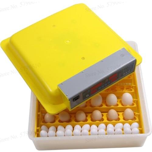 Incubator Incubator Fully Automatic Incubator Small Household Chick Duck Goose Egg Incubator
