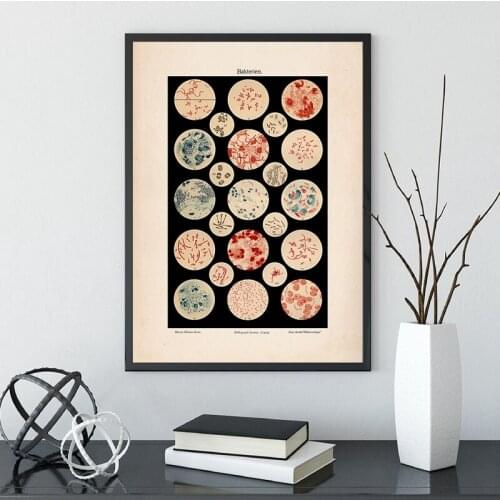 Canvas Painting Microbiology Bacteria Microbe Art Print Old Medicine Poster Science Wall Art Picture Biology Study Vintage Decor