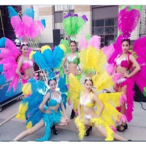 Singer dance show womens sexy feather wings costume party samba cosplay festival carnival costumes feather backboard