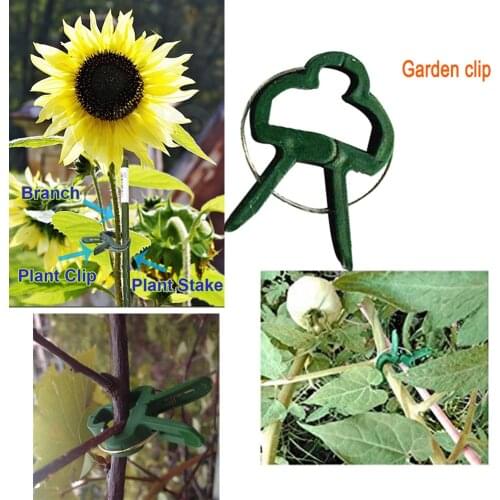 20/40/60 Pcs Reusable Garden Plant Fixed Clip Support Fastener Vegetables Flowers Stand Holder Bound Clamp зажимы для растений