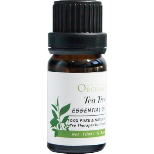 Tea Tree Single Essential Oil 10ml Control Oil Acne Remove Skin Care Pure Plant Essential Oil SPA Aromatherapy aceites esenciale