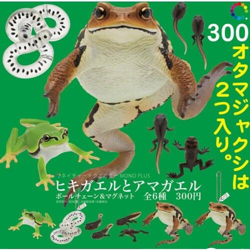 Japan IKIMON Gashapon Capsule Toys KITAN CLUBE Tadpole Model Table Ornaments Decoration Toad Tree Frog Pendant