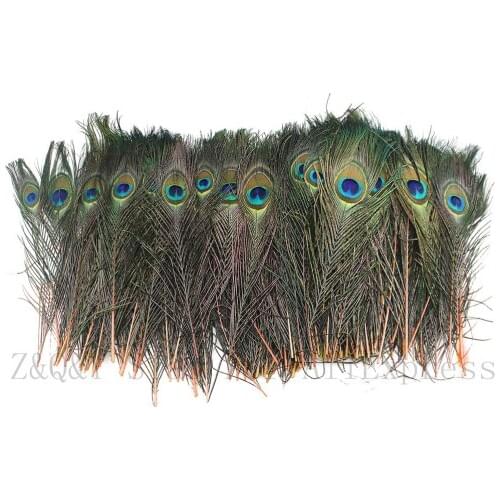 20 natural peacock feathers dyed orange for craft decoration 25-30 cm (10-12 inches) Diy jewelry feather vase accessory