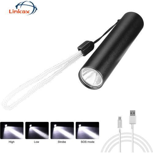 Portable Penlight LED Flashlight Torch Waterproof Lantern by Rechargeable Lithium Battery Powered Pocket Light with Storage Case
