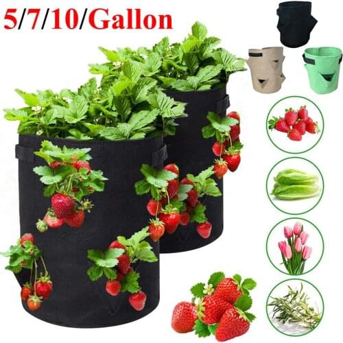 Garden Outdoor Planting Grow Bag Strawberry Vertical Flower Herb Pouch Root Breathable Vegetable Round Reusable Pot Planter
