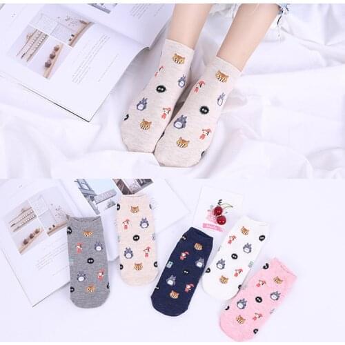 1 Pair Of Classic Spring Summer Retro Female Chinchilla Squirrel Painting Short Fashion Cute Fun Socks Slippers Silicone Socks