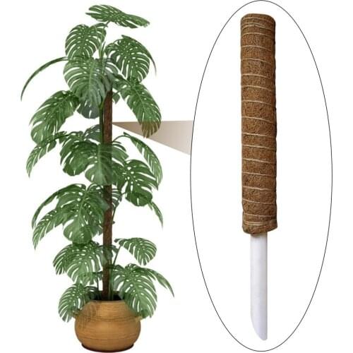 Garden Coir Moss Totem Poles Plant Climbing Support Extension Palm Vines Stick For Climbing Indoor Plants Creepers Gardening New
